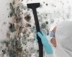 Best Mold Remediation for Healthcare Facilities  in Carlinvle, IL